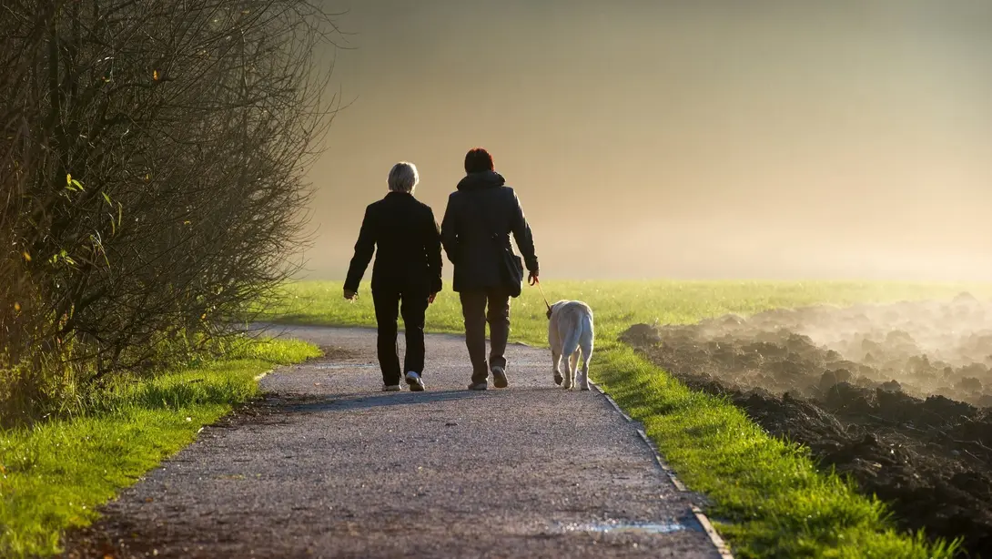 Naturnah leben in Verden Zwei Personen gehen mit Hund auf einem Feldweg in Verden als Symbol für naturnahes Wohnen, Ruhe und Lebensqualität.